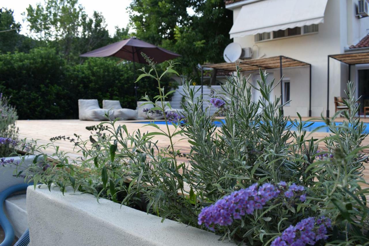 Serenity Luxury Villa, Skiathos Αγία Παρασκευή Εξωτερικό φωτογραφία