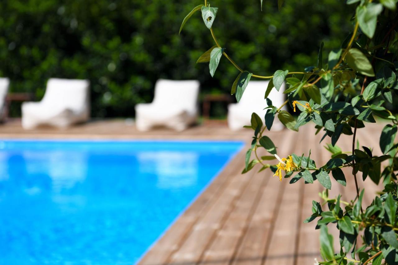 Serenity Luxury Villa, Skiathos Αγία Παρασκευή Εξωτερικό φωτογραφία